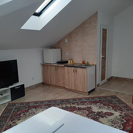 Aleksandrija Apartment นิส ภายนอก รูปภาพ